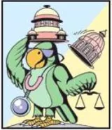 Cbi verdict