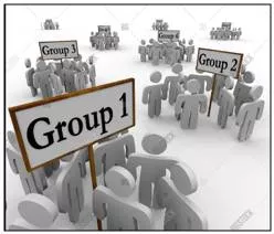Faction  - A small organized dissenting group within a larger one, especially in politics.