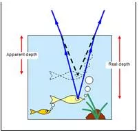 Apparent  - Clearly visible or understood.