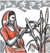 Remove shackles on agricultural prices