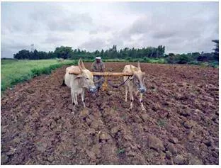 Examining farm loan waivers