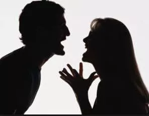 Gadfly - A person who annoys or criticizes others in order to provoke them into action