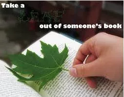 Taking a leaf out of someoneâ€™s book  - To behave or to do something in a way that someone else would.