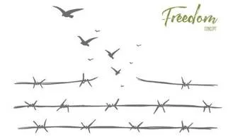 In the pursuit of four freedoms  on elections