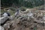 What has changed post balakot 