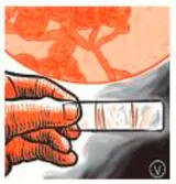 Challenge of deadly  drug resistant fungi