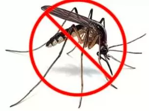 Eradicate  - Meaning: destroy completely; put an end to.