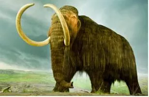 Mammoth  - Meaning: huge