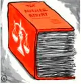 What we can learn from mueller report