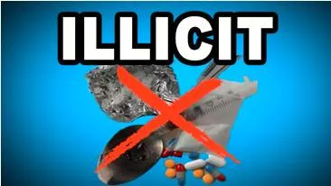 Illicit  - Meaning: forbidden by law, rules, or custom.