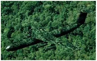 Camouflage  - Meaning: hide or disguise the presence of (a person, animal, or object) by means of camouflage.