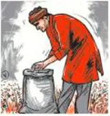 Revisit policy on fertiliser subsidy