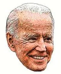 Joe plunges in