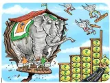 Elephant in the room