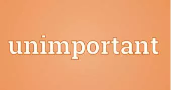 Frivolous  - Meaning: not having any serious purpose or value.