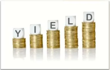 Yield  - Meaning: produce or generate (a result, gain, or financial return).