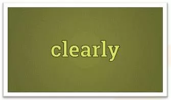Explicitly  - Meaning: in a clear and detailed manner, leaving no room for confusion or doubt.