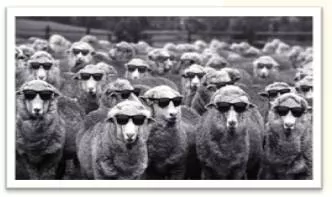 Conformity  - Meaning: compliance with standards, rules, or laws.