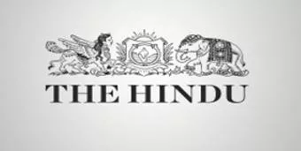 Flee market  on indian stock market rally