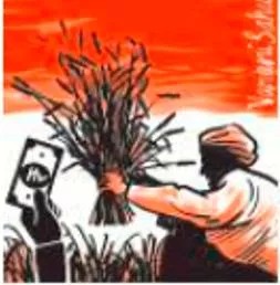 Try income support in place of subsidy