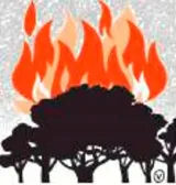 Amazon alight  global commons  sovereignty