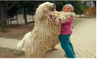 Humongous  - Meaning: extremely large.