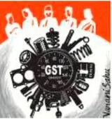 Gst council  focus on the big picture