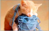 Untangle the fandango