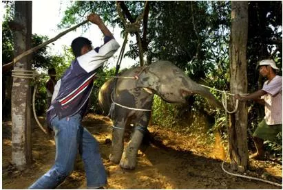 Inhumane  - Meaning: not caring about the suffering of other people or animals (निर्दयी).
