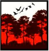 Aarey  for social cost benefit analysis