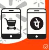 Walmart strikes gold within flipkart