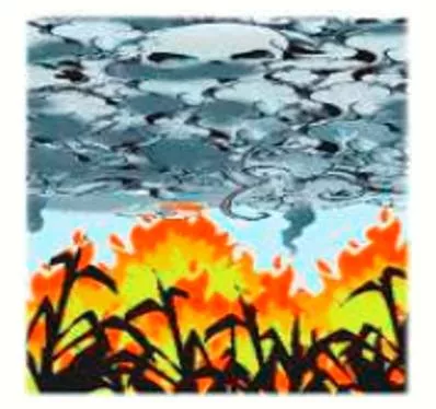 Gas chamber politics