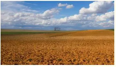 Fallow  - Meaning: (of land) not planted with crops, in order to improve the quality of the soil.