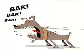 Nuisance  - Meaning: A person or thing causing inconvenience or annoyance.