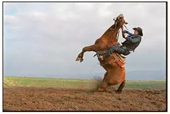 Rampant  - Meaning: (of something bad) existing or spreading everywhere in a way that cannot be controlled.