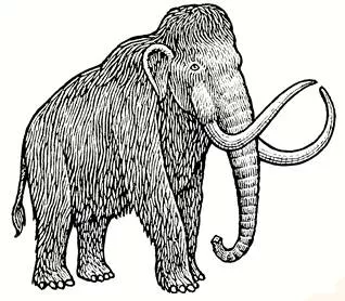 Mammoth  - Meaning: Extremely large.