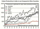 The flawed spin to india’s cotton story
