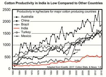 The flawed spin to india’s cotton story
