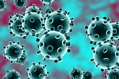 No room for panic  on novel coronavirus