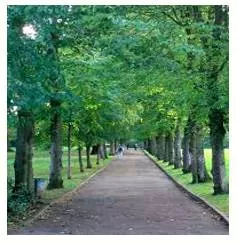 Avenue - Meaning- A way of approaching a problem