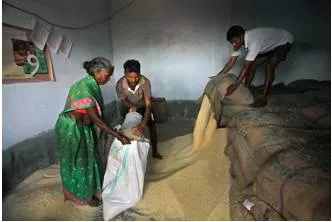 Aadhaar  no standout performer in welfare delivery