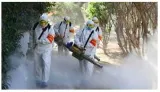 Viral economies  on coronavirus impact
