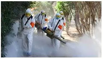 Viral economies  on coronavirus impact