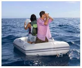 Stranded  - Meaning- Left without the means to move from somewhere.