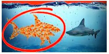 Concerted  - Meaning- Jointly arranged or carried out.