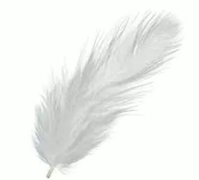 Nimble  - Meaning- Quick and light in movement or action.