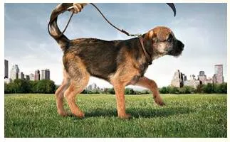 Damper - Meaning- A person or thing that has a subduing or inhibiting effect.