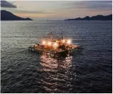 Fishing in troubled waters during a pandemic