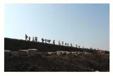 Safe return  on migrant worker distress
