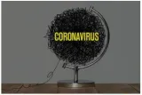 Troughs and crests in the pandemic response